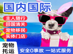 乌海机场快递国际宠物托运 【国